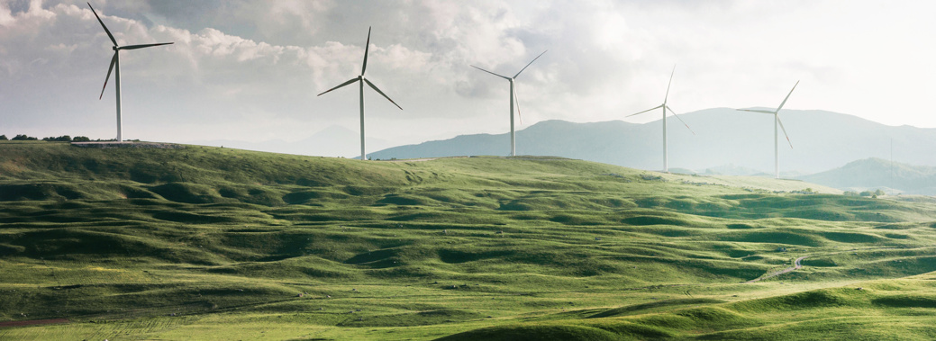 le forum mondial mobilisera des investissements pour le climat, l'énergie, la santé et l'alimentation