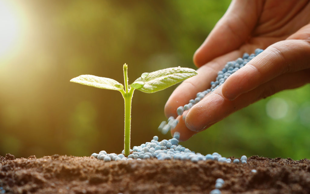 campagnes de production agricole 2022-2023 au sénégal : le détail de la subvention des intrants agricoles  d'un montant global de 100 milliards fcfa