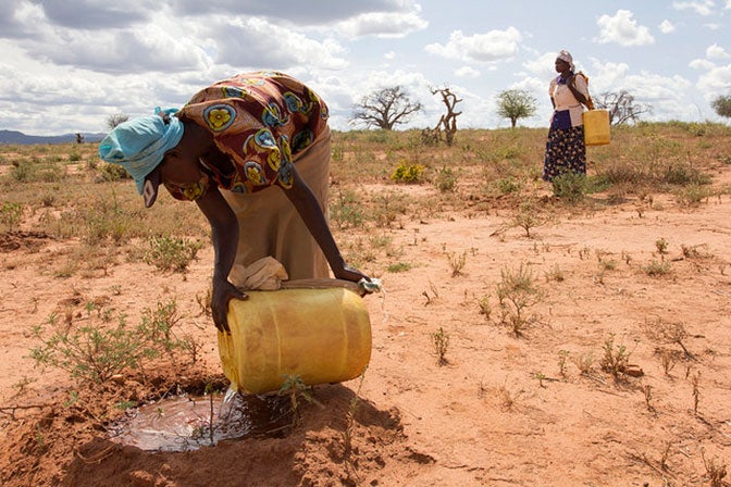 sénégal : les conclusions du diagnostic sur le  financement des risques climatiques et de catastrophes bientôt dévoilées