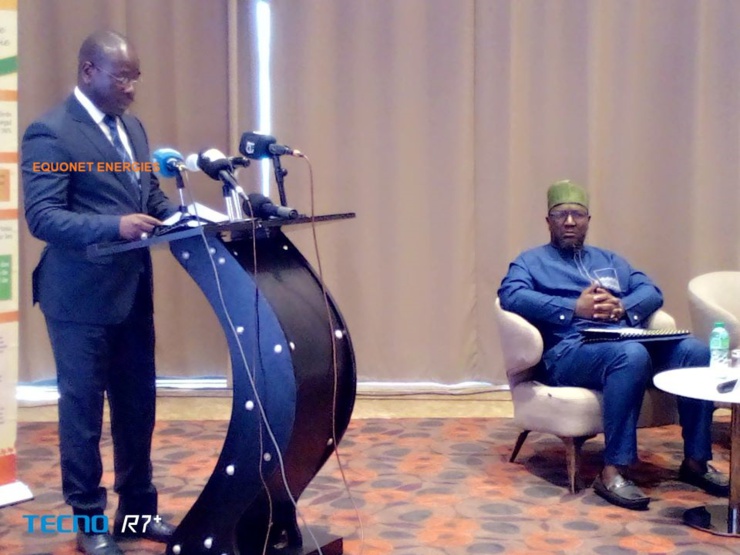 Birame Souley Diop, ministre sénégalais de l’Energie, du Pétrole et des Mines. Birame Souley Diop, ministre sénégalais de l’Energie, du Pétrole et des Mines.