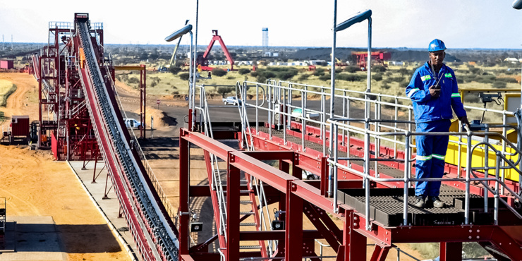 Photo : Sunshine Seeds / Shutterstock.com Photo : Sunshine Seeds / Shutterstock.com