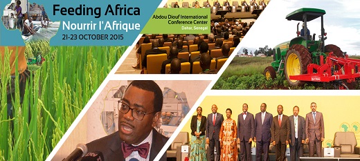La conférence «Nourrir l’Afrique» : adoption d’un plan pour la transformation de l’agriculture africaine. La conférence «Nourrir l’Afrique» : adoption d’un plan pour la transformation de l’agriculture africaine.