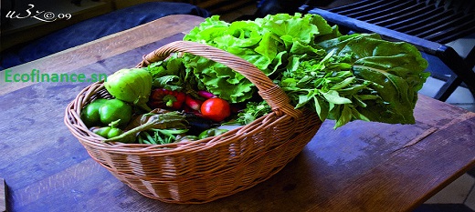 Le panier de la ménagère a subit l'effet de la hausse des prix  en octobre 2015.