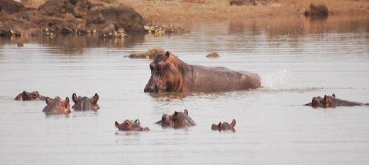 La réserve naturelle communautaire du Boundou. La réserve naturelle communautaire du Boundou.