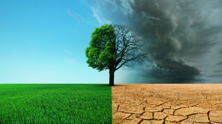 sénégal 2050 : le méga-risque 'climat' sénégal 2050 : le méga-risque 'climat'