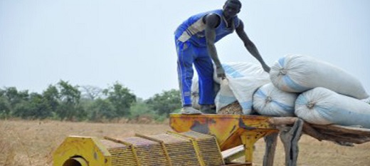 Le prix du kilogramme de l'arachide fixé à 200 francs Cfa au Sénégal. Le prix du kilogramme de l'arachide fixé à 200 francs Cfa au Sénégal.