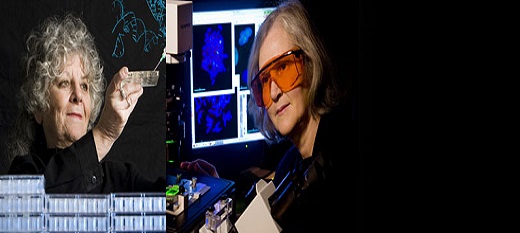 Les femmes occupent une part congrue dans la recherche. Les femmes occupent une part congrue dans la recherche.