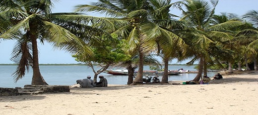 L'Ile de la Carabance, Casamance, mérite une meilleure valorisation. L'Ile de la Carabance, Casamance, mérite une meilleure valorisation.