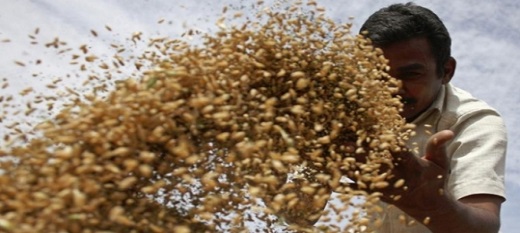 Omc : de profondes divisions notées à Naïrobi Omc : de profondes divisions notées à Naïrobi