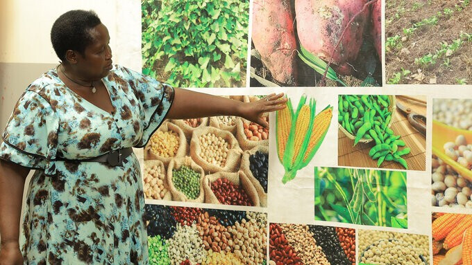 ©FAO/ Helen Lugada ©FAO/ Helen Lugada