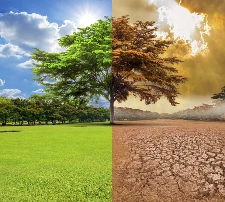 B Lab Africa s'apprête à accueillir son 4e Sommet annuel B Lab Africa, qui se déroulera les 2 et 3 octobre 2025 dans la ville d'Ekurhuleni, en Afrique du Sud. B Lab Africa s'apprête à accueillir son 4e Sommet annuel B Lab Africa, qui se déroulera les 2 et 3 octobre 2025 dans la ville d'Ekurhuleni, en Afrique du Sud.