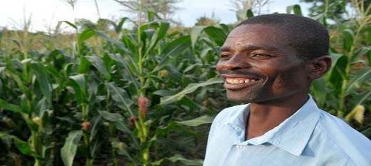 L’agriculture, une activité économique : considérer l’agriculture comme une possibilité d’investissement L’agriculture, une activité économique : considérer l’agriculture comme une possibilité d’investissement