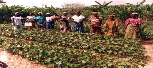 L’Agence Nationale des Ecovillages  entre  délires et dérives