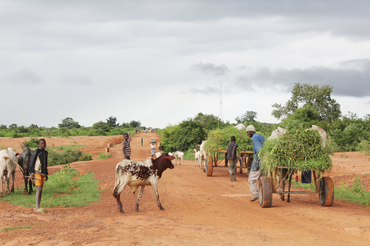 Au Bénin, la commune de Malanville est l'une des plus vulnérables au changement climatique, dont les effets affectent les secteurs de l'agriculture, les infrastructures et autres. Crédit photo : PNUD Bénin