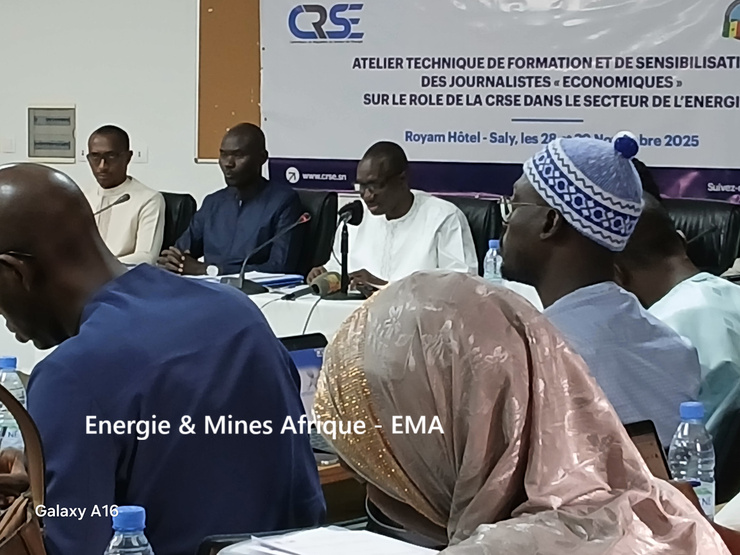 La régulation économique et la régulation technique forment les deux piliers d’un édifice complexe , que la CRSE tente de stabiliser. La régulation économique et la régulation technique forment les deux piliers d’un édifice complexe , que la CRSE tente de stabiliser.