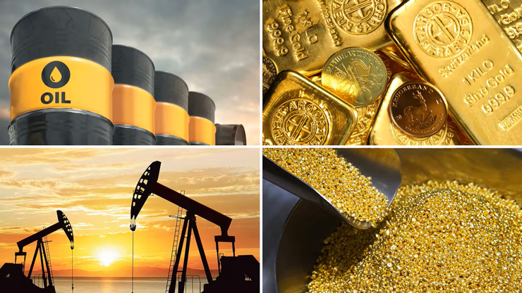 Derrière les chiffres vertigineux se cache une réalité plus nuancée, faite d'écarts statistiques abyssaux et d'une captation de richesse qui semble fuir le budget national.