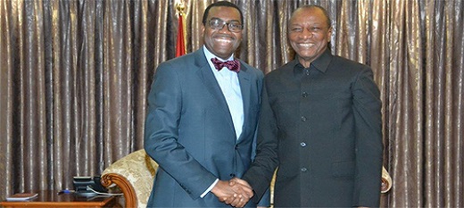 La Bad et la Guinée souhaitent impulser leur coopération La Bad et la Guinée souhaitent impulser leur coopération