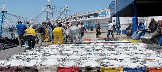 Maroc : augmentation de plus d’un tiers des débarquements de la pêche côtière et artisanale Maroc : augmentation de plus d’un tiers des débarquements de la pêche côtière et artisanale