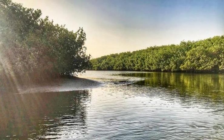 Sénégal : le compte à rebours d’IMPAC 6 lancé à la Somone