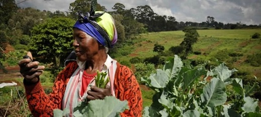 AgriPME : le numérique au service des agriculteurs du Togo AgriPME : le numérique au service des agriculteurs du Togo