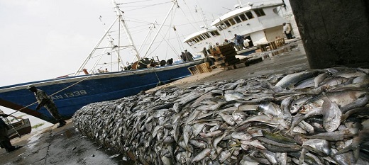 Entrée en vigueur du premier traité mondial contre la pêche illégale