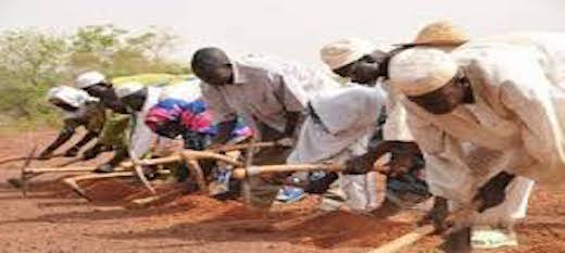 Les membres de l’Omc effectuent leur premier examen des subventions à l’exportation de produits agricoles depuis la décision de Nairobi Les membres de l’Omc effectuent leur premier examen des subventions à l’exportation de produits agricoles depuis la décision de Nairobi