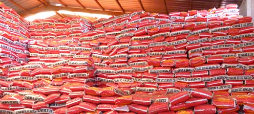 AfricaRice met en garde contre les importations de riz AfricaRice met en garde contre les importations de riz