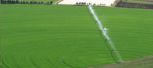 Hausse de 57 pour cent du Pib agricole du Maroc en 8 ans Hausse de 57 pour cent du Pib agricole du Maroc en 8 ans