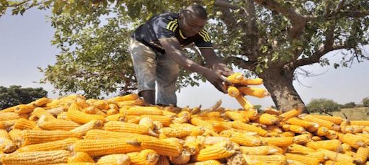 Le défi du développement du secteur agro-industriel en Afrique
