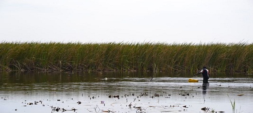Une vue sur l'état de dégradation du fleuve Sénégal