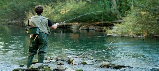 Les Membres de l’OMC s’intéressent à de nouvelles règles internationales relatives aux subventions à la pêche, mais ne sont pas d’accord sur la voie à suivre