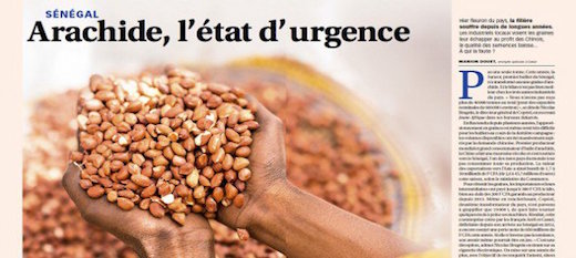 Au sommaire des pages éco cette semaine : une enquête inédite sur l’arachide au Sénégal Au sommaire des pages éco cette semaine : une enquête inédite sur l’arachide au Sénégal