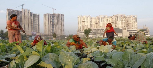 Négociations sur l’agriculture: de nouvelles propositions, mais des progrès inégaux Négociations sur l’agriculture: de nouvelles propositions, mais des progrès inégaux