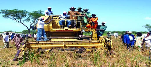 Recensement général agricole : les producteurs de statistiques agricoles veulent gagner le pari Recensement général agricole : les producteurs de statistiques agricoles veulent gagner le pari