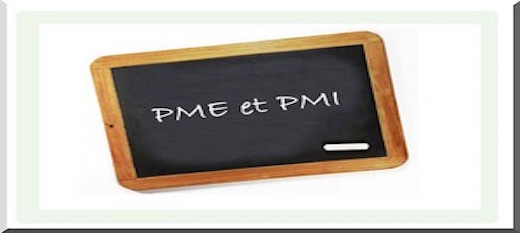 Intégrer la PME/PMI, dans la stratégie économique Intégrer la PME/PMI, dans la stratégie économique