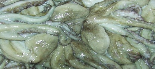 Le poulpe débarqué au quai de pêche de Mbour. Le poulpe débarqué au quai de pêche de Mbour.