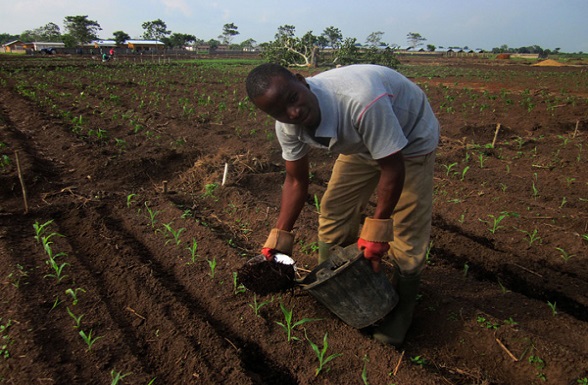 Un jeune entrepreneur agricole en plein champ pour semer les bonnes graines. Un jeune entrepreneur agricole en plein champ pour semer les bonnes graines.