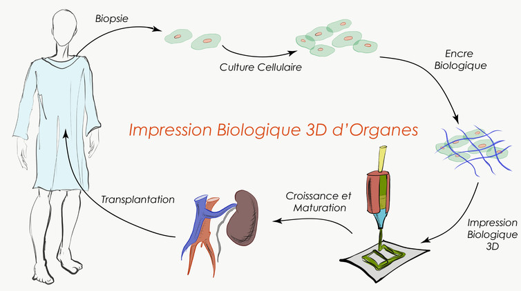 La prochaine révolution pharmaceutique pourrait sortir d'une imprimante 3D