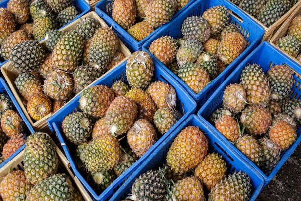 Bénin: reprise des exportations d'ananas