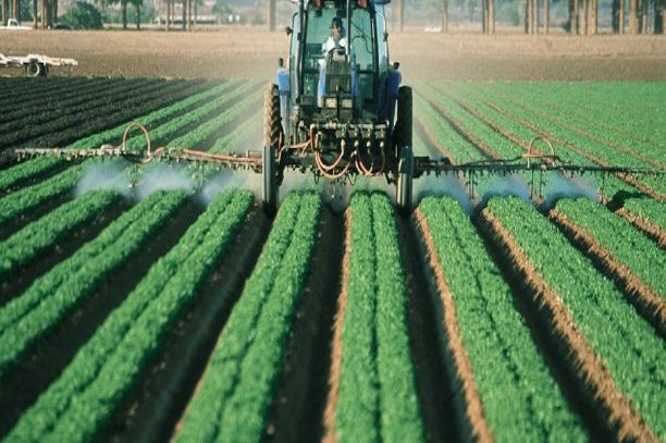 OCDE  : pour une industrialisation «propre» de l'Afrique