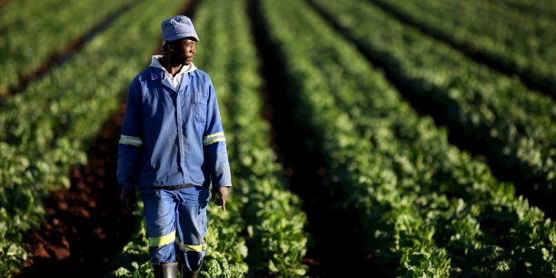 Migration : pour la BAD, le développement des zones rurales offre des alternatives aux jeunes africains