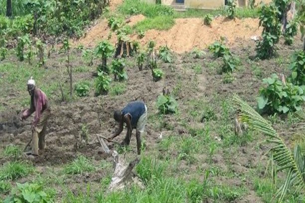 Togo : l'économie renouera avec la croissance dès cette année