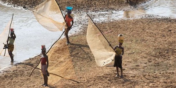 Côte d'Ivoire  : les pays de l'Union du fleuve Mano lancent un projet de gestion des ressources en eau
