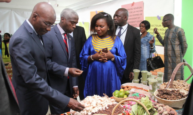 Entrepreneuriat : Lancement du projet "Feed the Future Sénégal Jeunesse en Agriculture"