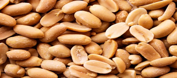 Près 29 milliards FCFA alloués à la Sonacos par la Société internationale islamique de financement  du Commerce. Près 29 milliards FCFA alloués à la Sonacos par la Société internationale islamique de financement  du Commerce.