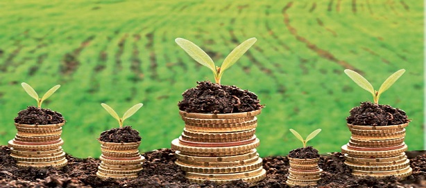 La BAD promet 25 milliards de dollars au financement climatique pour 2020-2025 La BAD promet 25 milliards de dollars au financement climatique pour 2020-2025