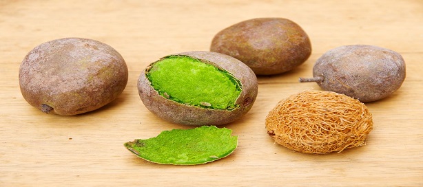 SENEGAL : l’ITA met au point une dépulpeuse/raffineuse de Ditakh ‘’Licka’s’’ SENEGAL : l’ITA met au point une dépulpeuse/raffineuse de Ditakh ‘’Licka’s’’