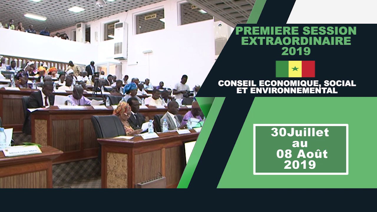 Le Pse abordé par les conseillers du Cese. Le Pse abordé par les conseillers du Cese.