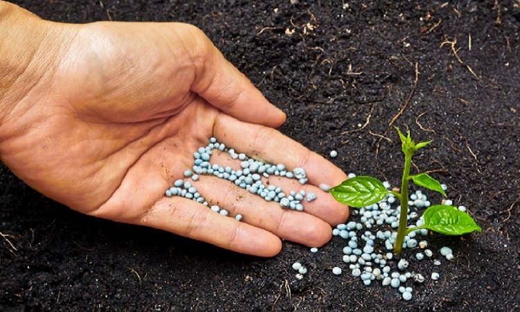 Projet 4R-Programme 4R-Engrais Projet 4R-Programme 4R-Engrais