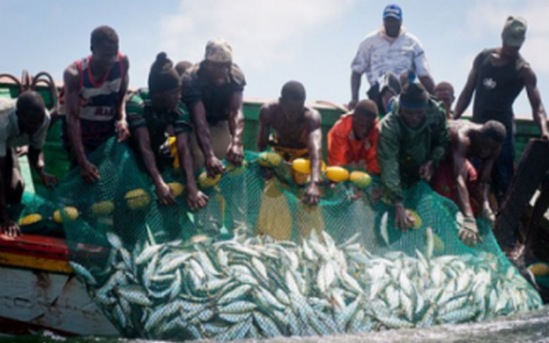 Journée mondiale de la pêche au Sénégal. Journée mondiale de la pêche au Sénégal.